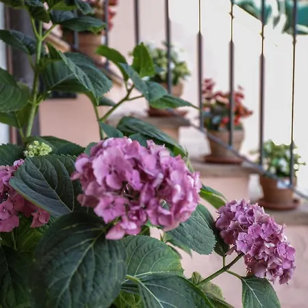Holiday home I Limoni