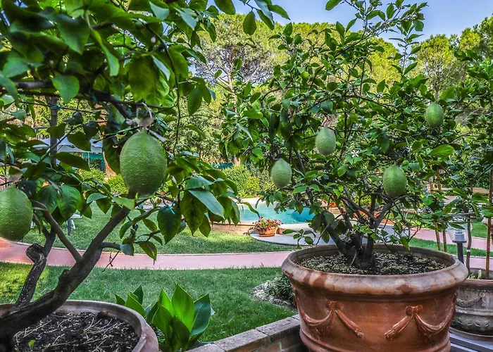 I Limoni Дом отдыха